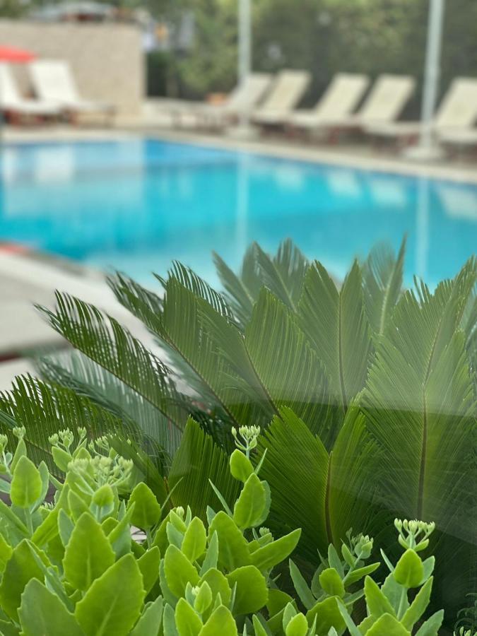 גולם Hotel Rean מראה חיצוני תמונה